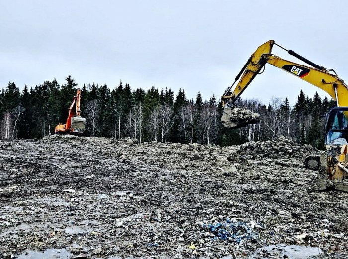 На пути к экологическому восстановлению Светогорска: рекультивация городской свалки фото