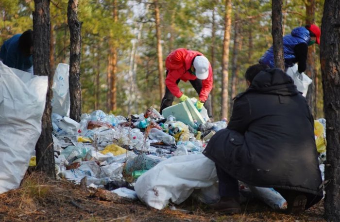 Более 67 000 кубометров мусора убрали в лесах Ленинградской области за первое полугодие 2021 года фото