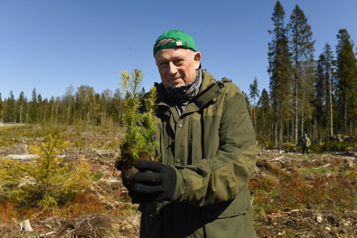 Усиление охраны лесов Ленинградской области: федеральный бюджет выделил дополнительные средства