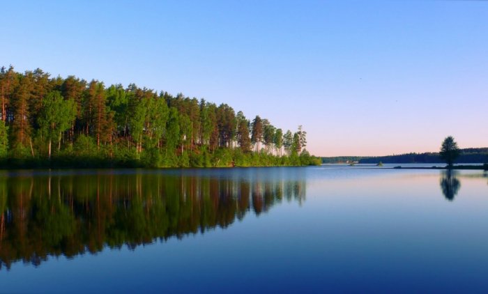 Обновленный Экосовет Ленинградской области: Защитники экологического благополучия региона фото