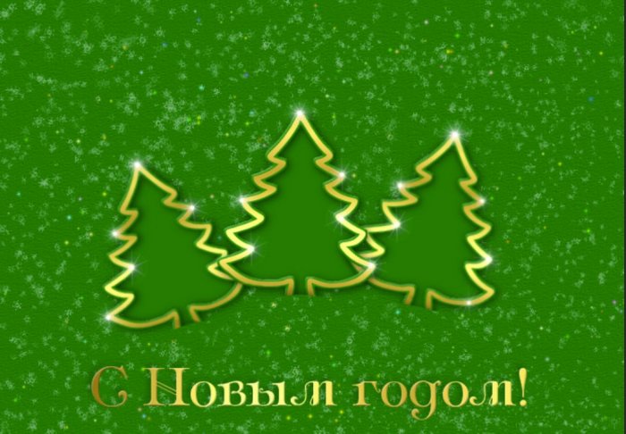 Поздравление с Новым Годом и Рождеством от Директора ЛОГКУ Антона Бочкова фото