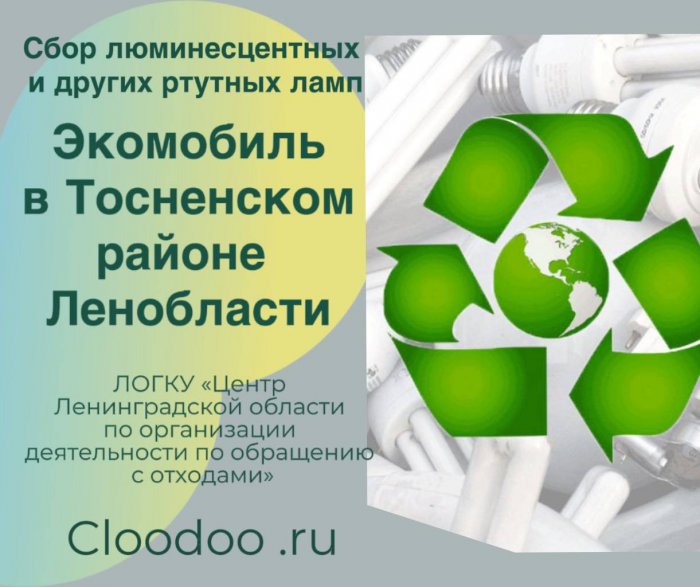 График работы Экомобиля по сбору отходов I класса опасности (люминисцентных и других ртутных ламп) в Тосненском районе фото