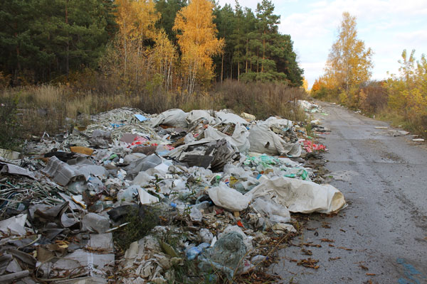 Правительство Ленинградской области утвердило поощрения для экоактивистов фото