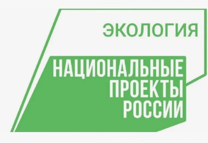 Новый национальный проект "Экологическое благополучие" придет на смену нацпроекту "Экология" 