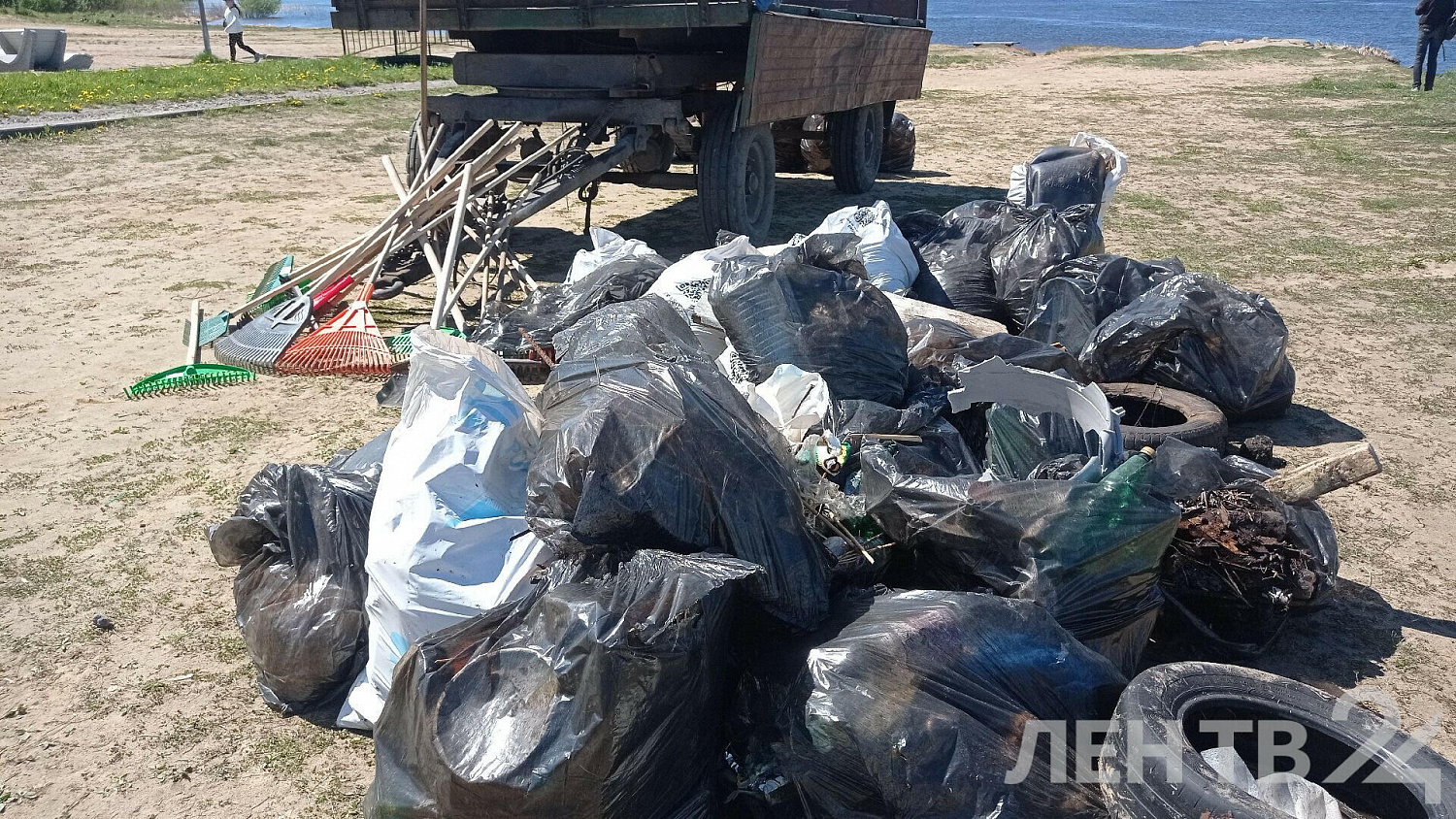 Школьники Кировска собрали 37 мешков мусора на пляже в рамках акции «Вода России» фотографии